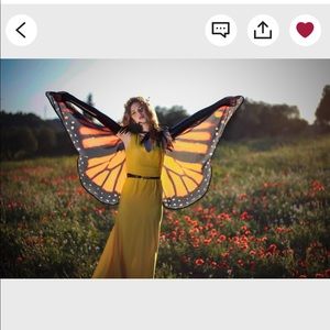 Butterfly Wings Cape Cloak Costume